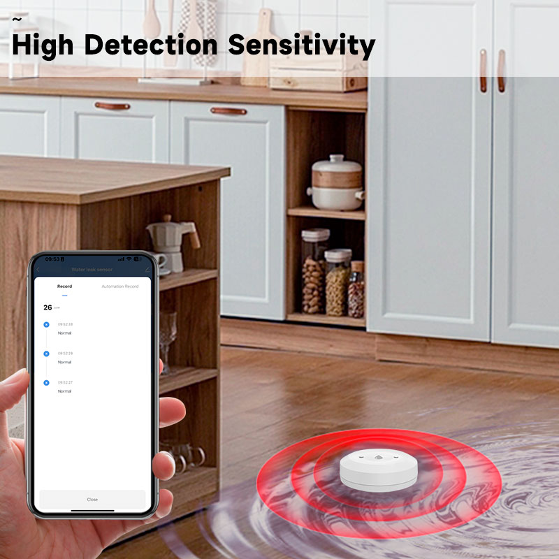Tuya Zigbee2mqtt Water Immersi - Water Alarm Sensor reseña y precio