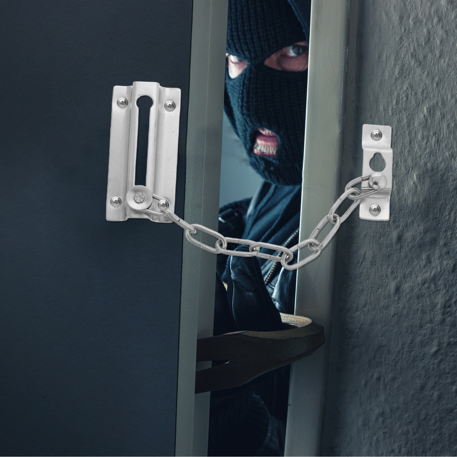 Heavy Duty Stainless Steel Ant - Security Chain Door reseña y precio