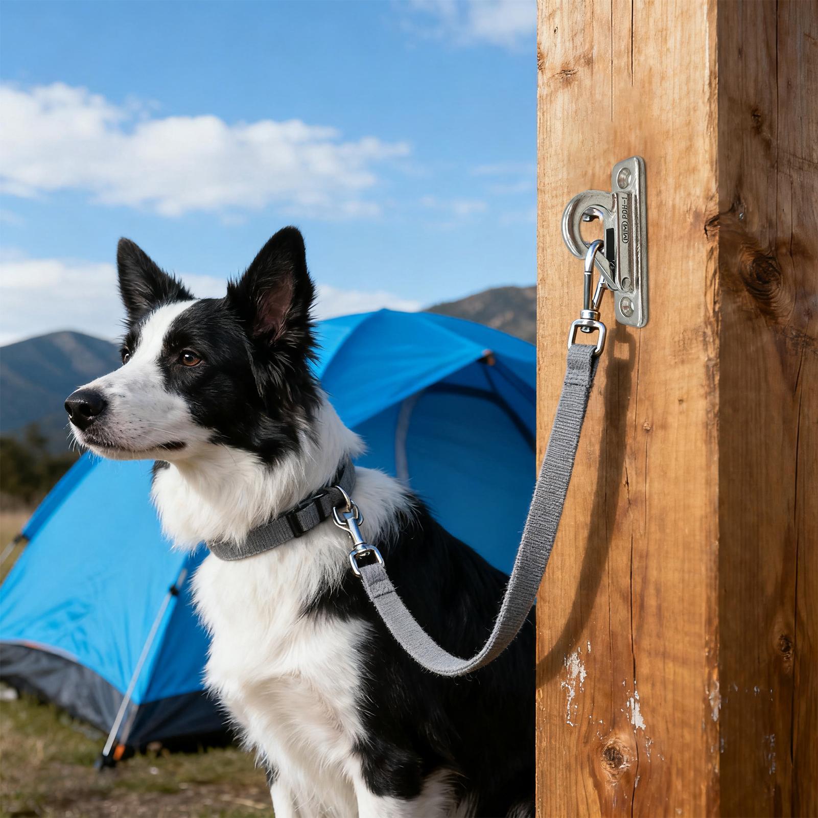 Dog Leashes Holder for Wall Pe - Security Chain Door reseña y precio