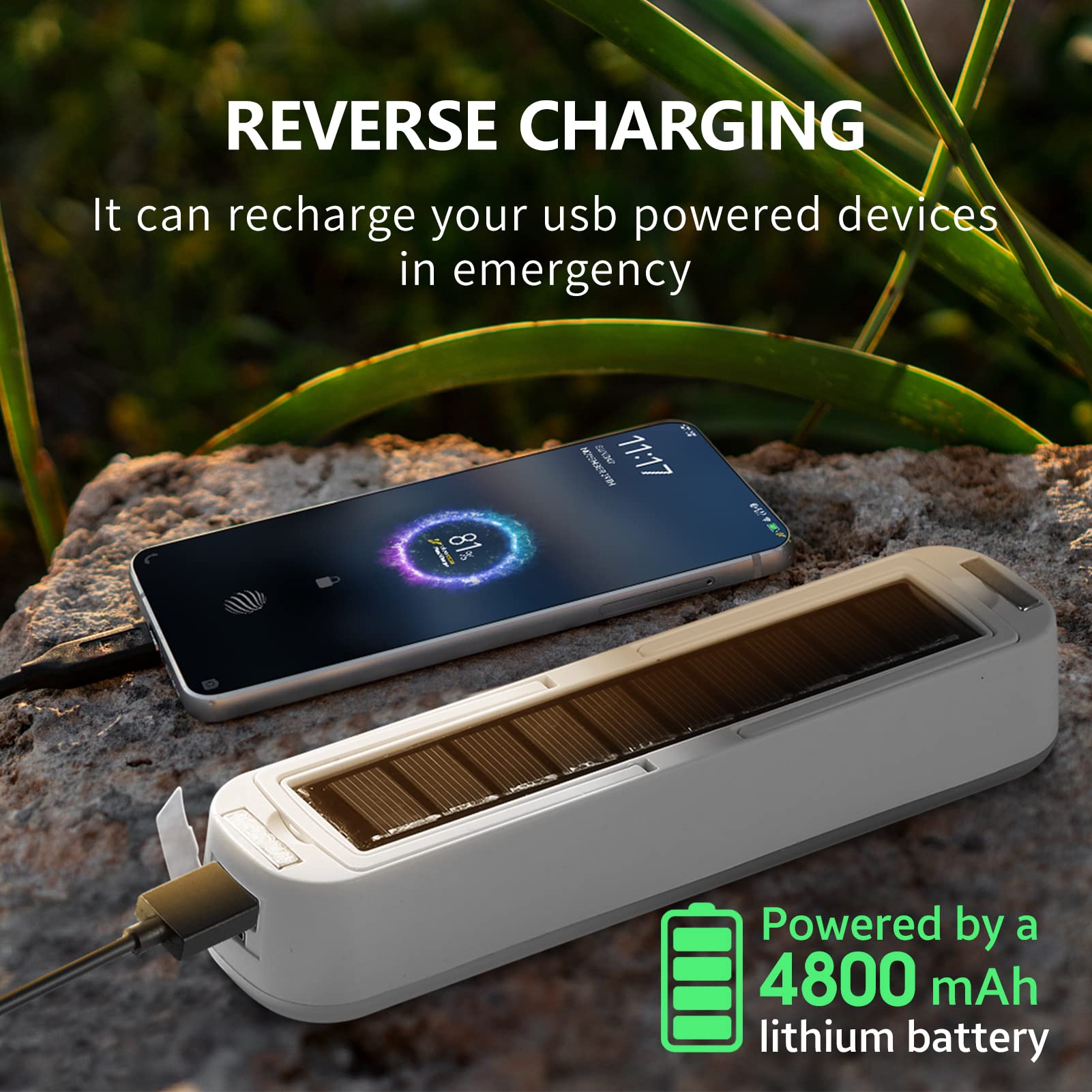 Solar Rechargeable Camping Lan - Power Outage Light reseña y precio