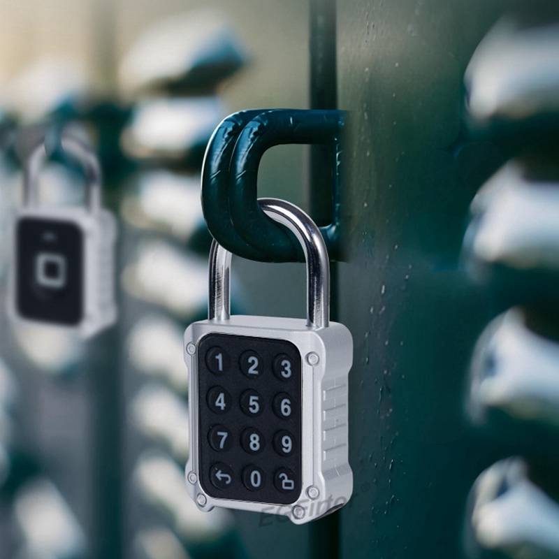 Tuya Bluetooth APP Remote Elec - Lockbox Key Secure reseña y precio