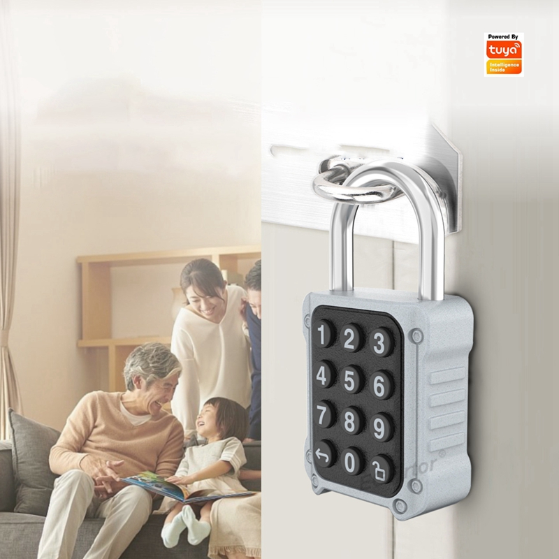 Tuya Bluetooth APP Remote Elec - Lockbox Key Secure reseña y precio