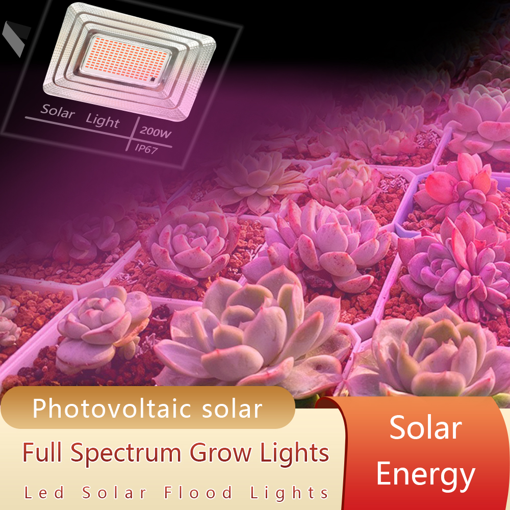 LED Full Spectrum Phyto Lamp 2 - Power Outage Light reseña y precio